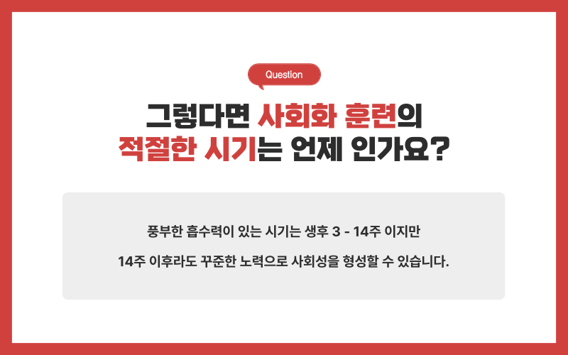 1720772092_003.png