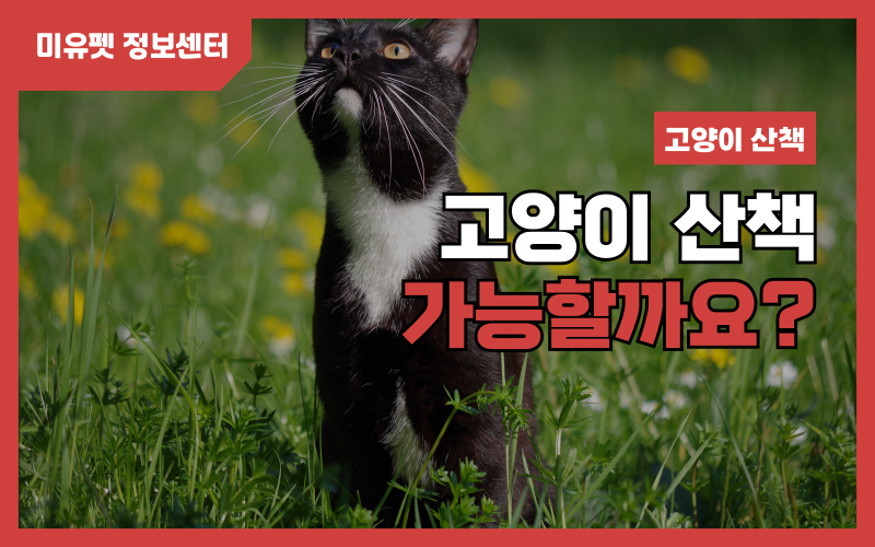 1720773466_001.png
